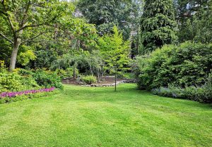 Optimiser l'expérience du jardin à Rombies-et-Marchipont